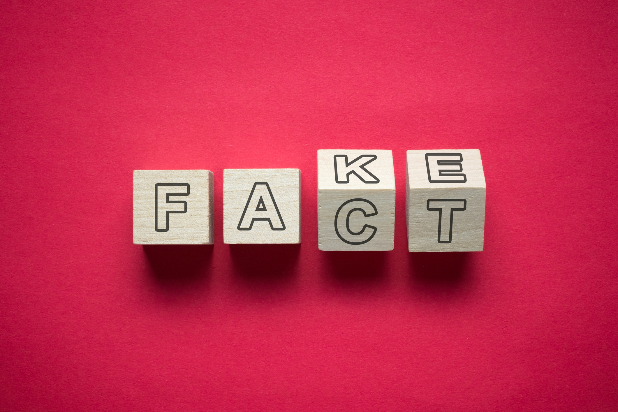 Fact or fake on wooden cube letters